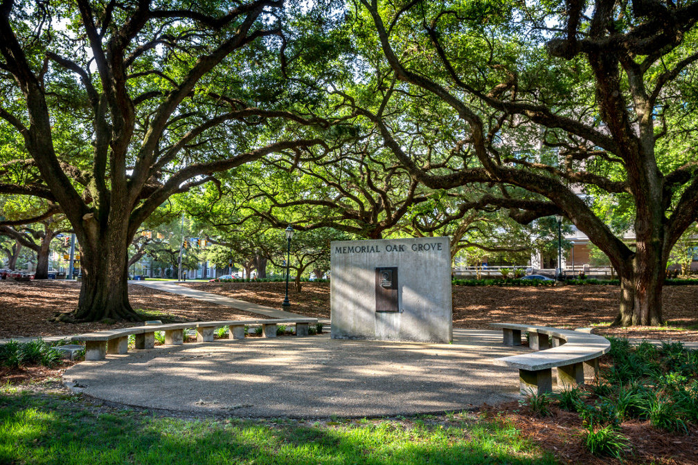 Image of Memorial Oak Grove monument at LSU, link to history section of website
