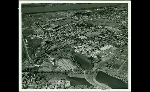 Aerial photograph of LSU Campus featuring oak grove, 1964, Office of Public Relations Records, A020, University Archives
